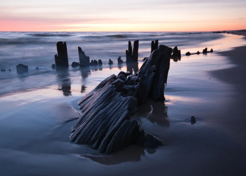 Weathered Driftwood at Lake Michigan
