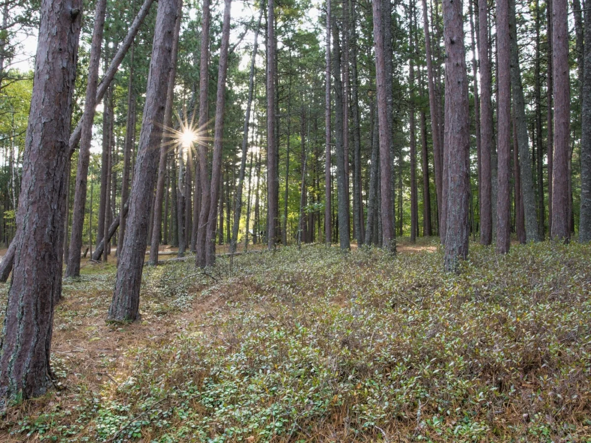 Sunrise at Miners Beach