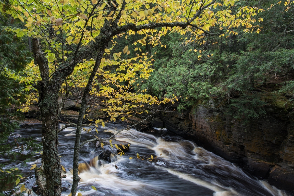 Autumn on the Sturgeon River