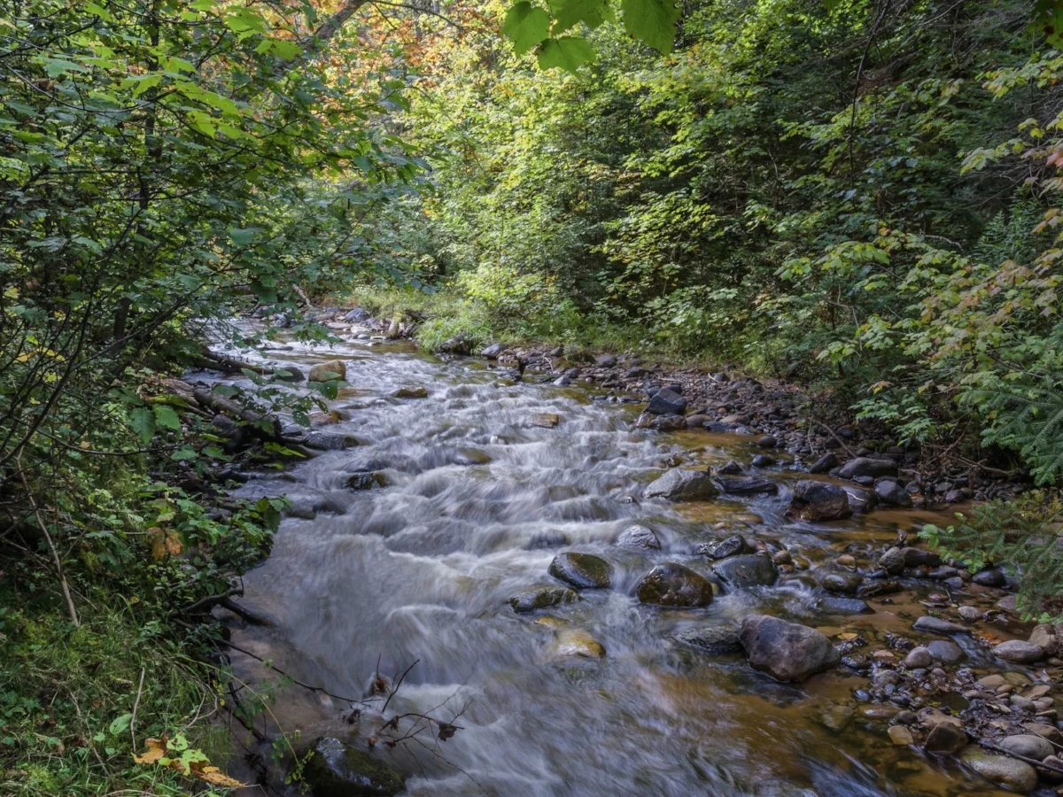 Sable Creek