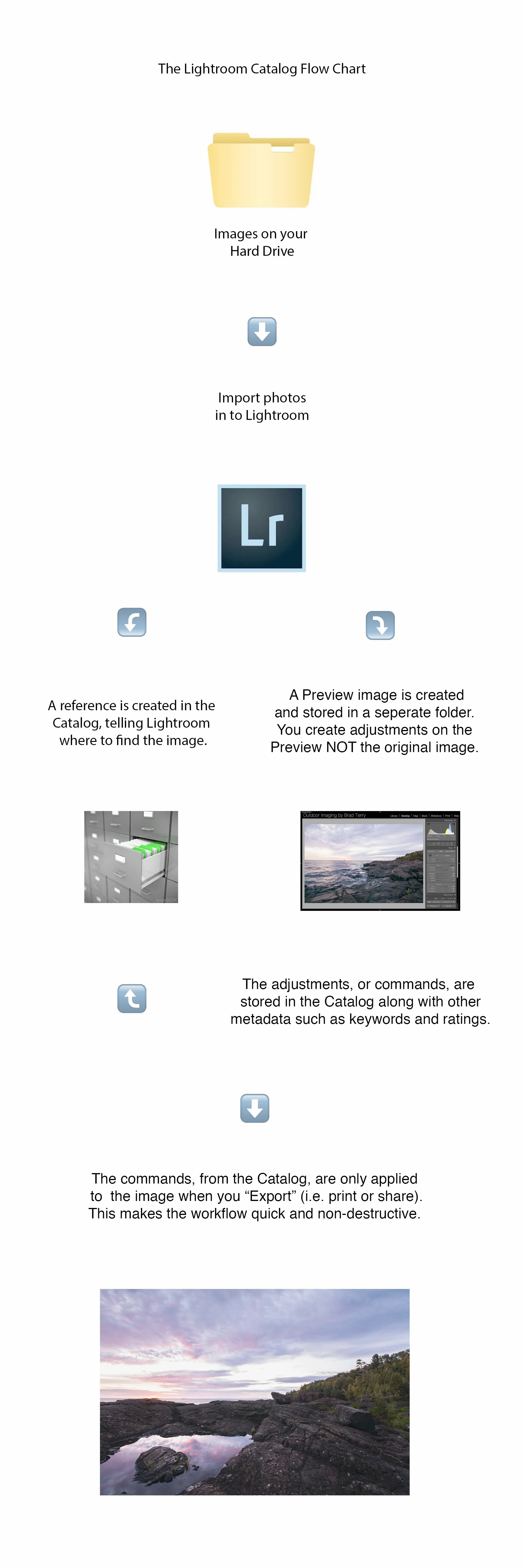 flowchart.jpg