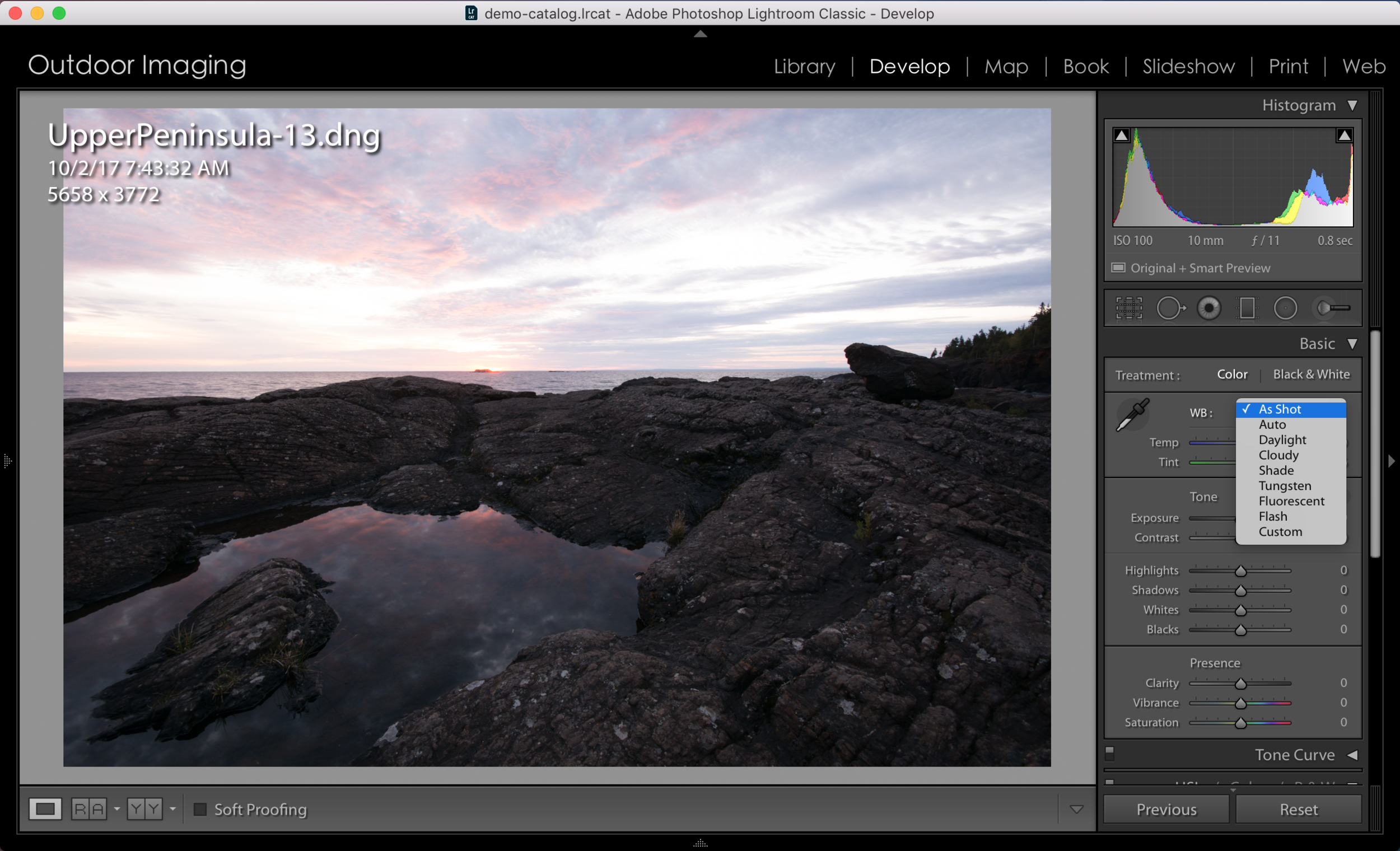 This is the DNG RAW file. When you navigate the Color Balance submenu you can see the variety of options for adjusting the color balance.