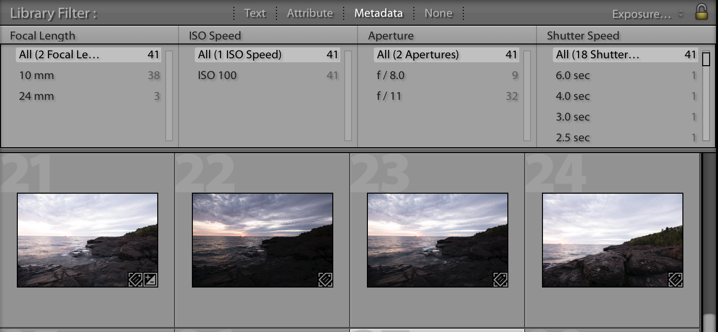 Filter Bar.png