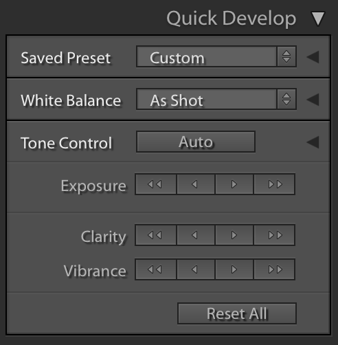Quick_Develop.png