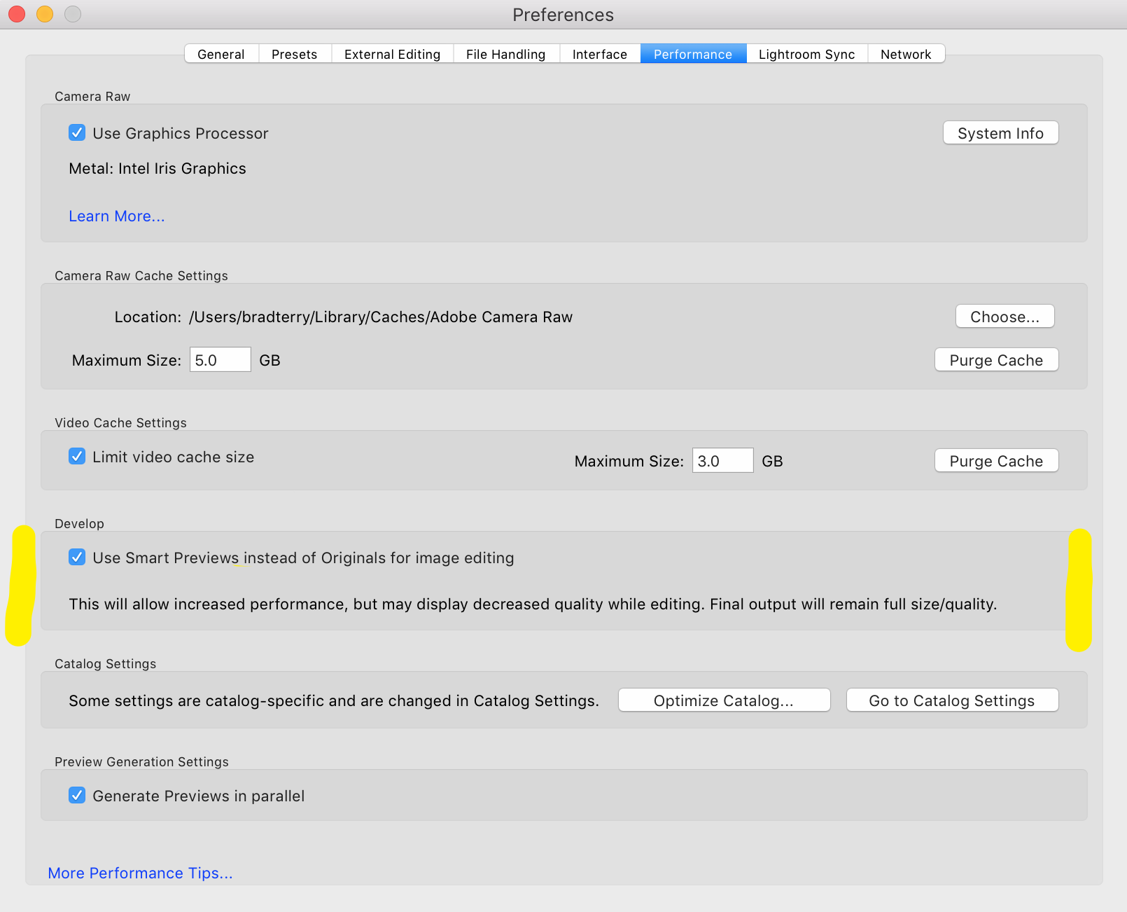 This image shows where to adjust the preference to use Smart Previews as a priority over Original image files.