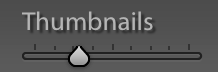 Thumbnail Size Slider