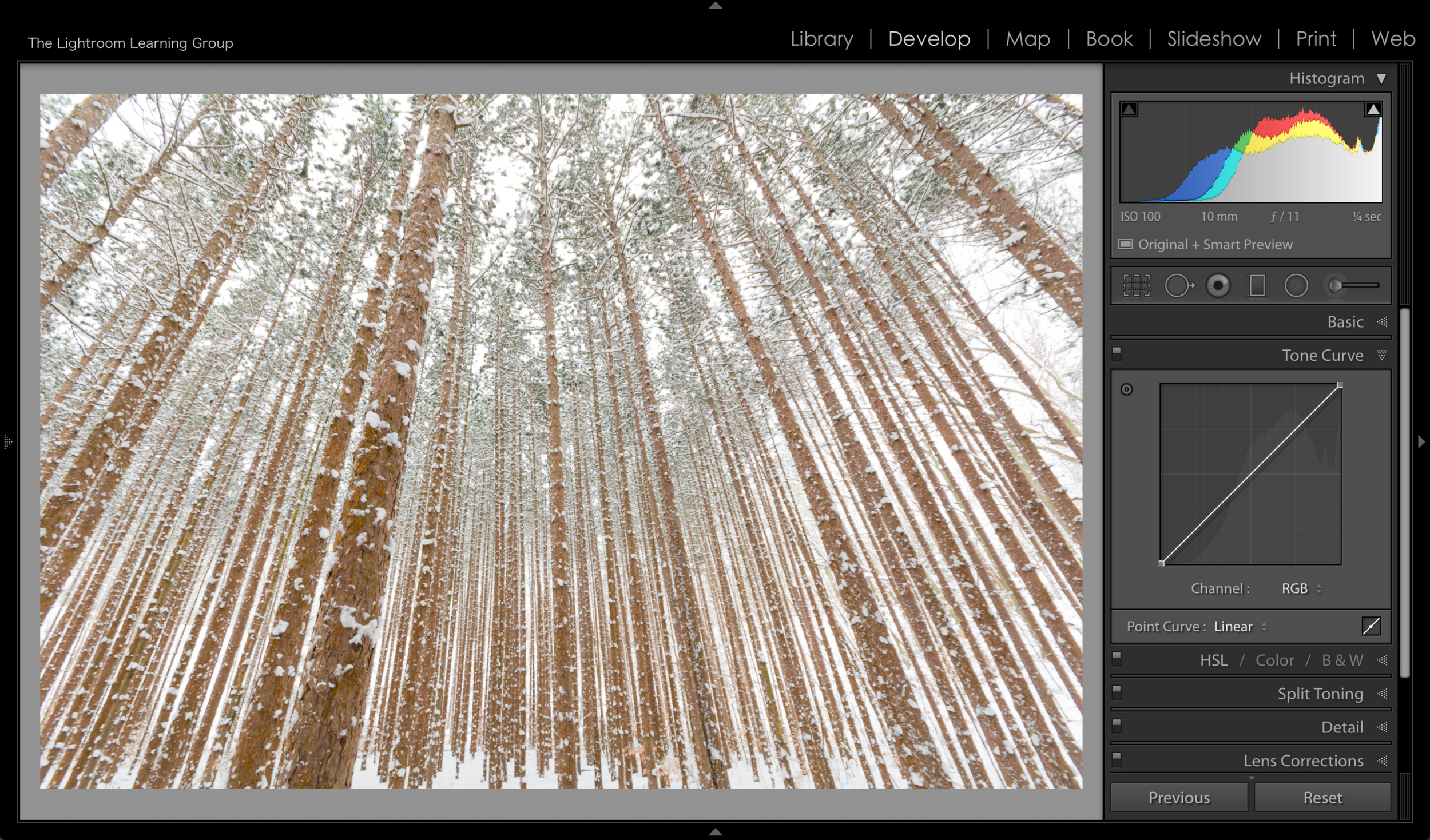 Screen Shot 2018-03-06 at 3.04.21 PM.png