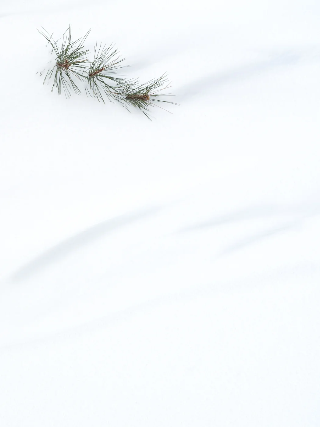 Winters' Design