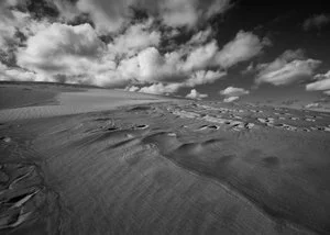 Sand Dune, Monochrome