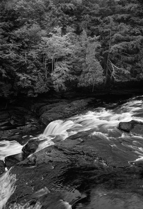 Presque Isle &amp; Forest