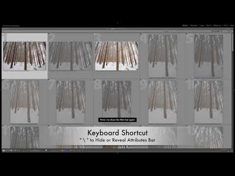 Quick Tip: Delete Rejects