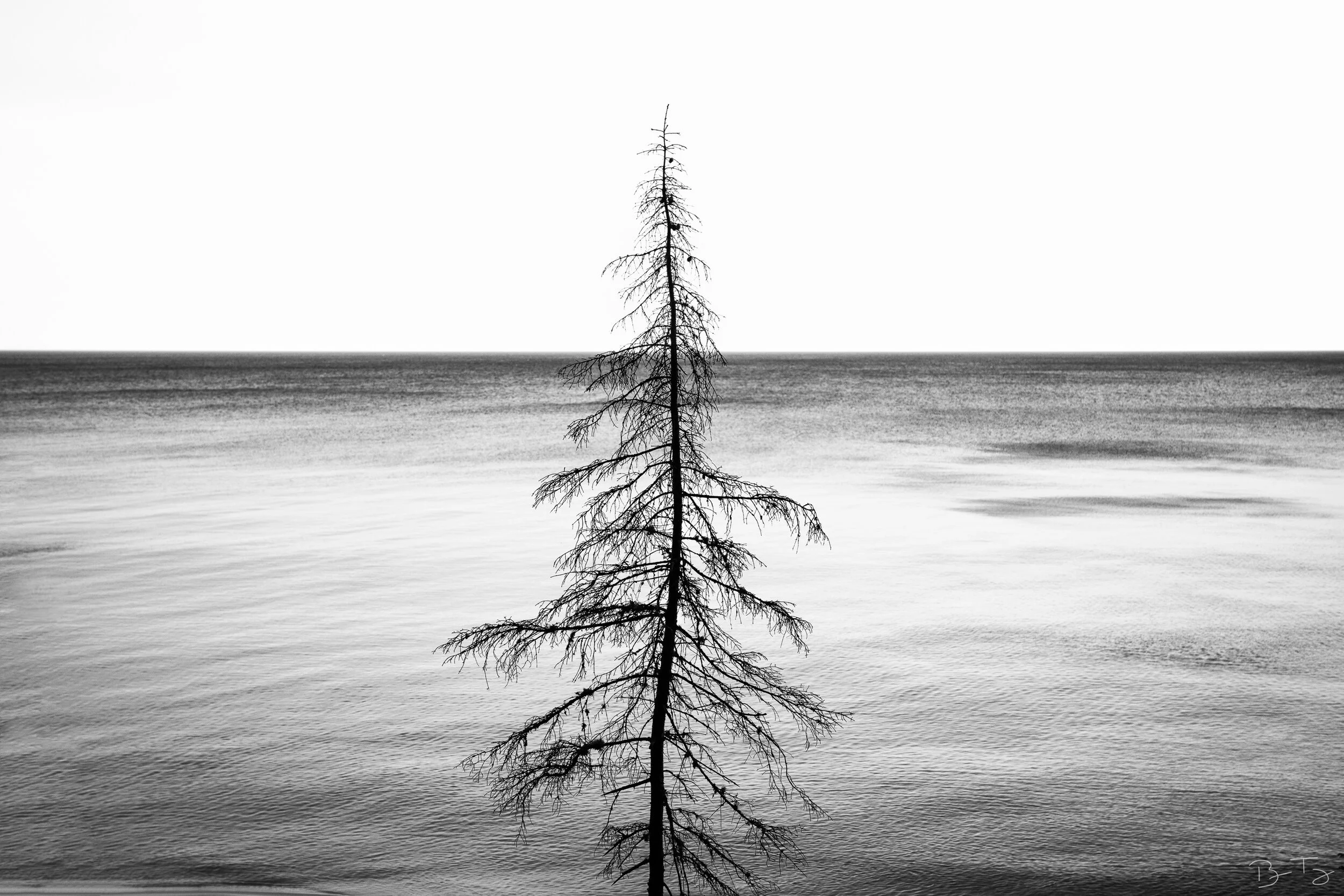 outdoorimaging-44.jpg