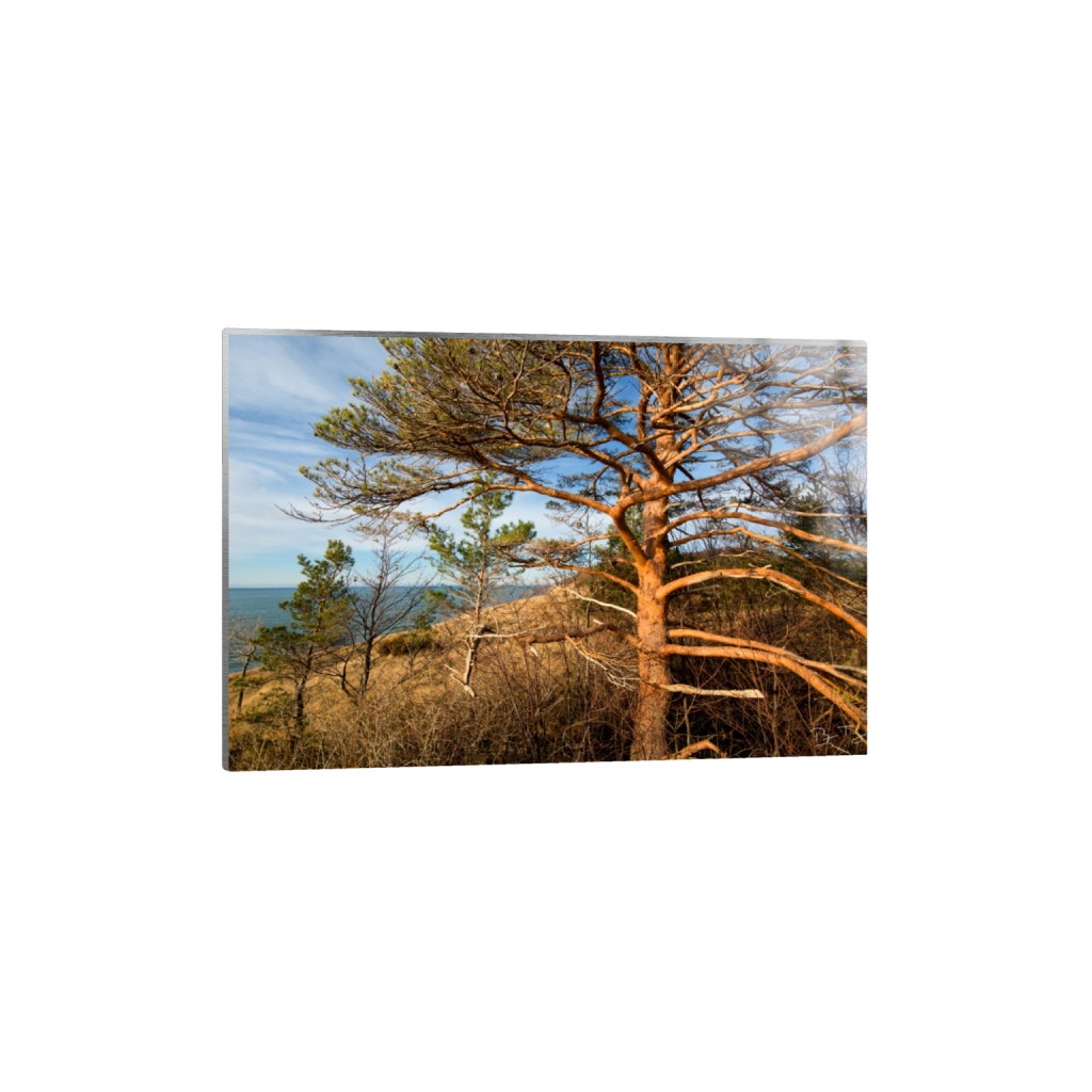 metalprint_rectangle2_3_0_0_5364_3576_0_false_ffffff_0_0.png