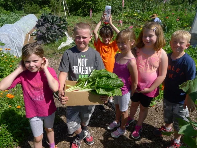 Youth from Lower Nehalem Community Trust’s day camp spend the morning harvesting their lunch in the community garden, which has provided over 1,700 pounds of organic produce this year to a local food bank in Tillamook County, Oregon. PIMG worked with the Trust on organizational development strategy this year. Photo by Gary Seelig.