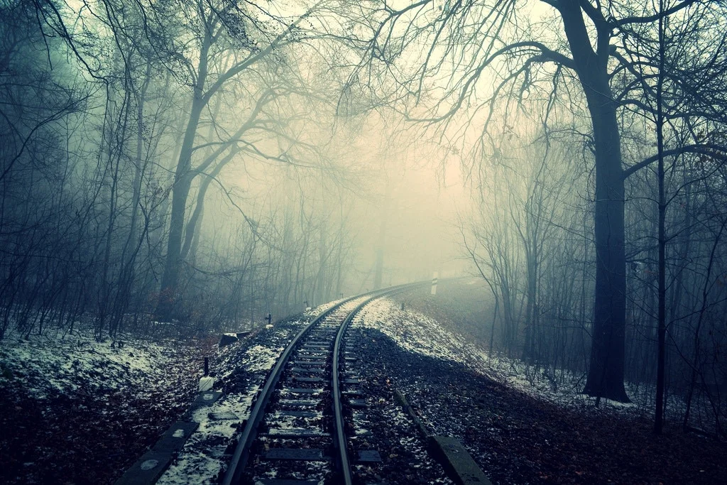 Photo by Andrea Boldizsar, via Unsplash