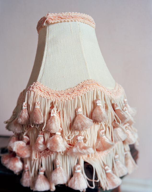 lamp shade 001-9MMargaux.jpg