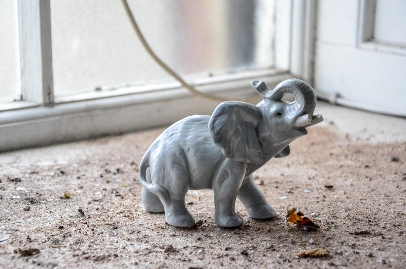 Elephant-MMargaux.jpg