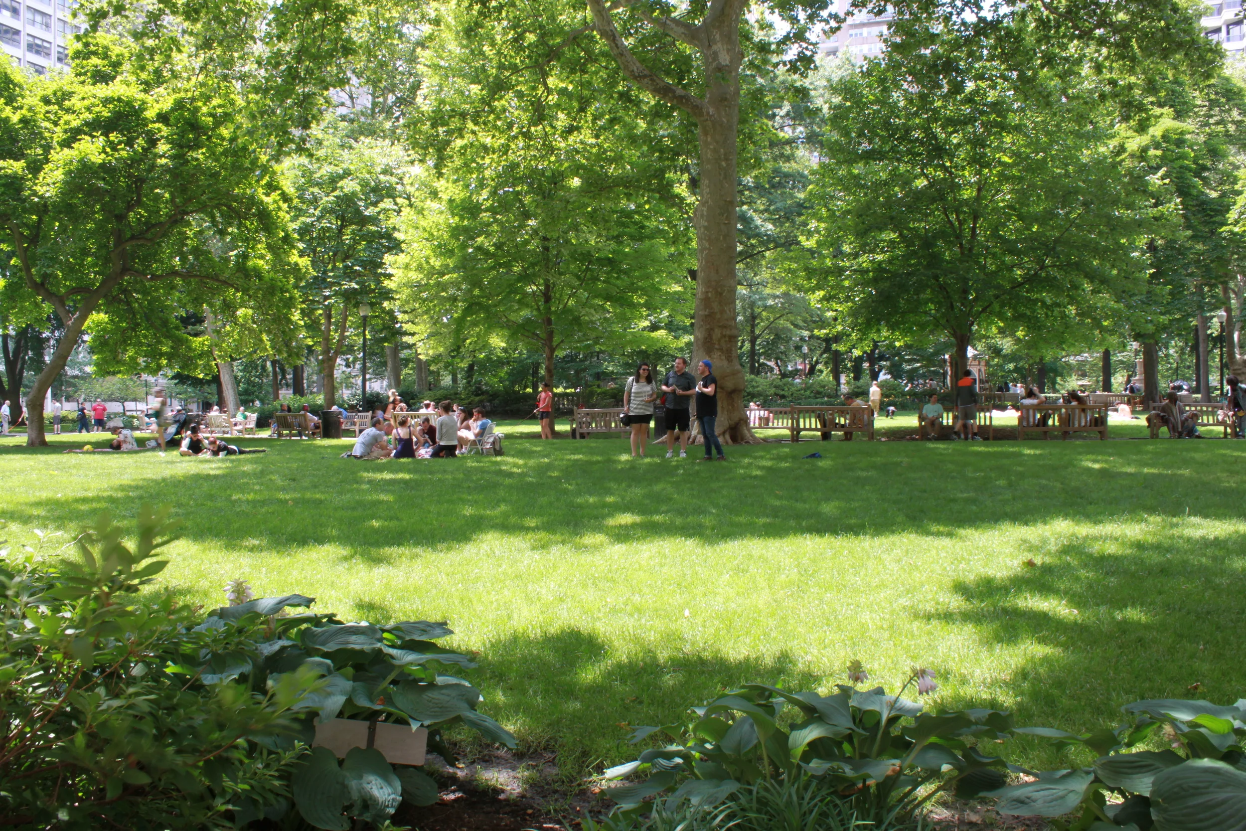 the park life