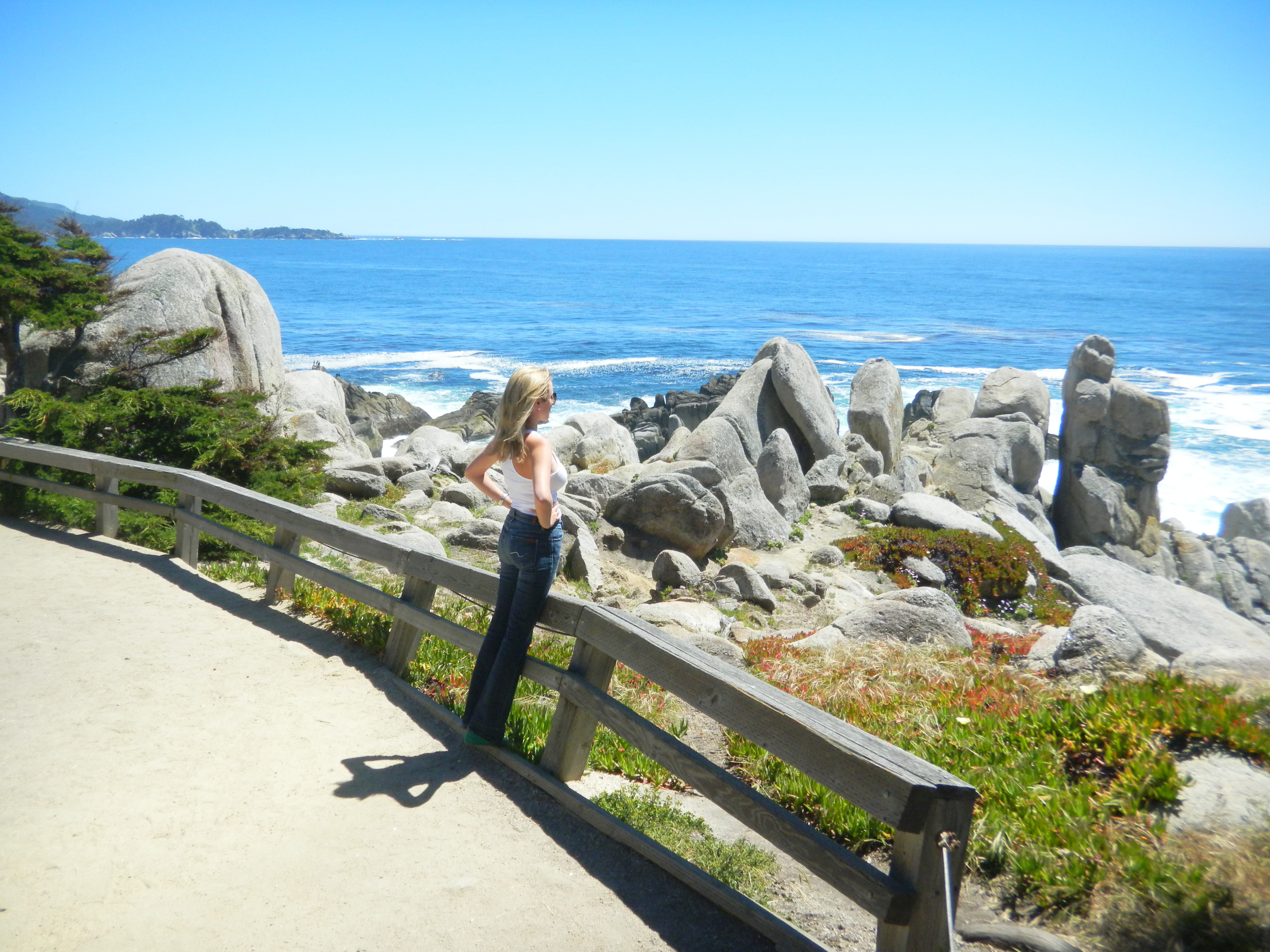 The West Coast, Literally