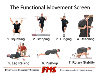 Pictured above: The traditional 7-point movement screen. www.functionalmovement.com