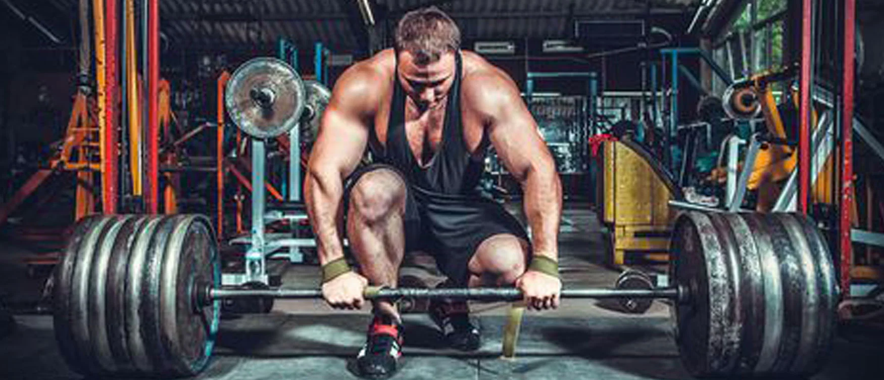 The Strength Athlete online powerlifting coaching and contest preparation