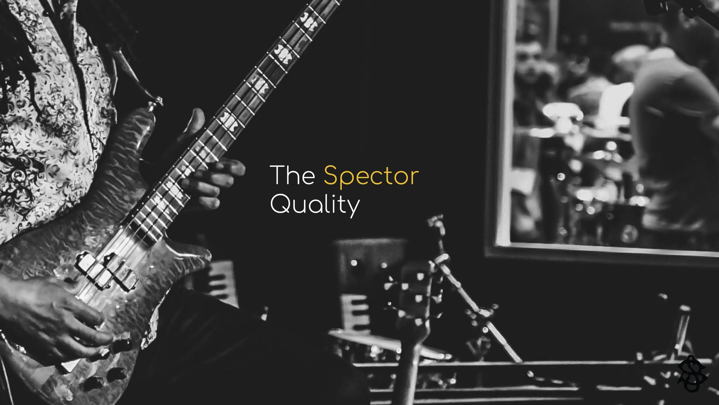 SpectorRebrand_08.jpg