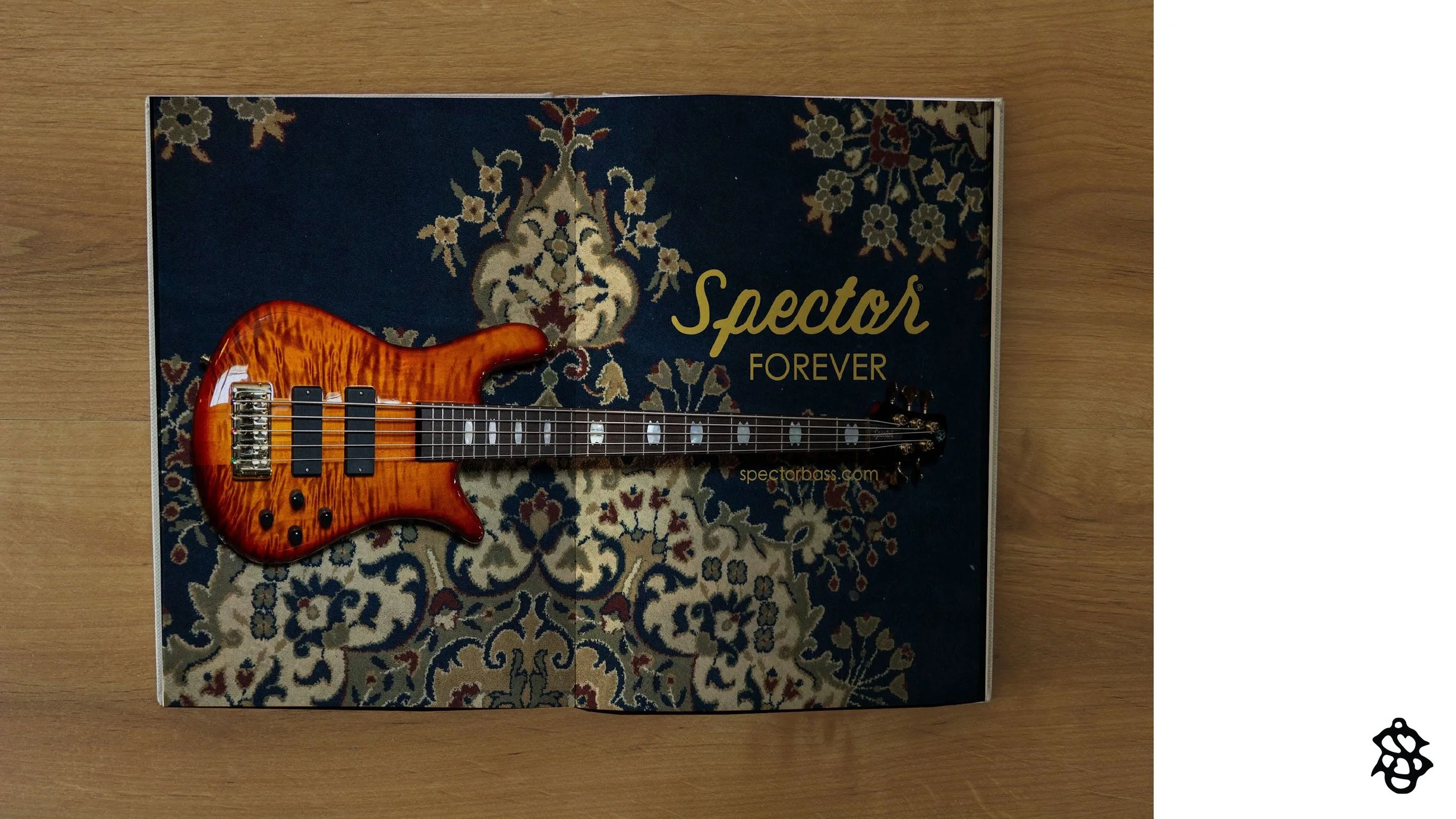 SpectorRebrand_19.jpg