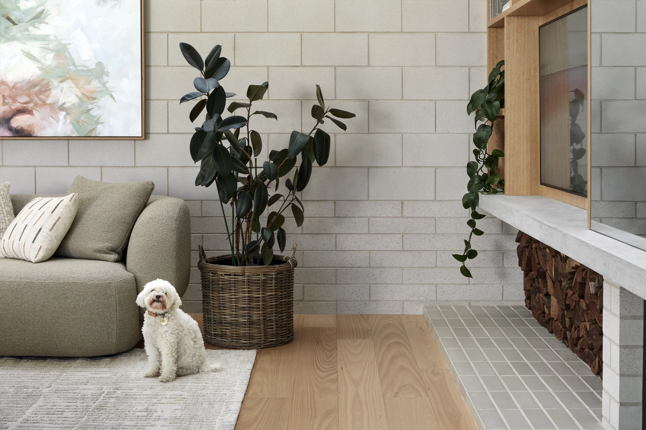 Po-CoArchitecture_ParkCres_Alphington_©TatjanaPlitt_477.jpg