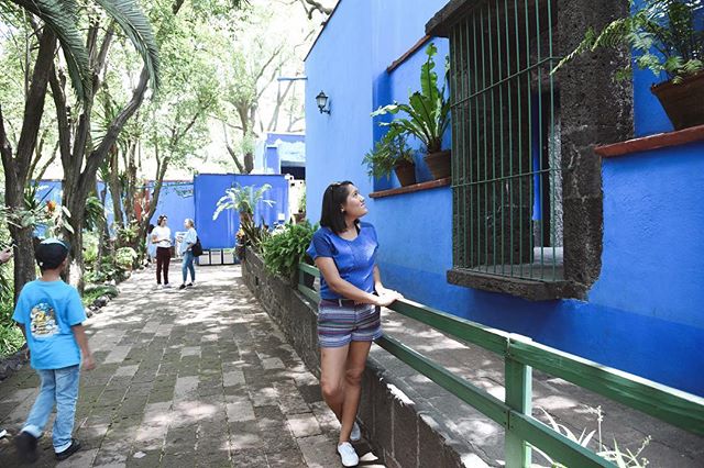 When you accidentally match Frida&rsquo;s wall. 👀

#travel #travel2019 #travelgram #instatravel #travelblogger #culture #photography #photooftheday #travellingthroughtheworld #thecolorspectrumproject #mexico #mexicocity #frida #fridakahlo