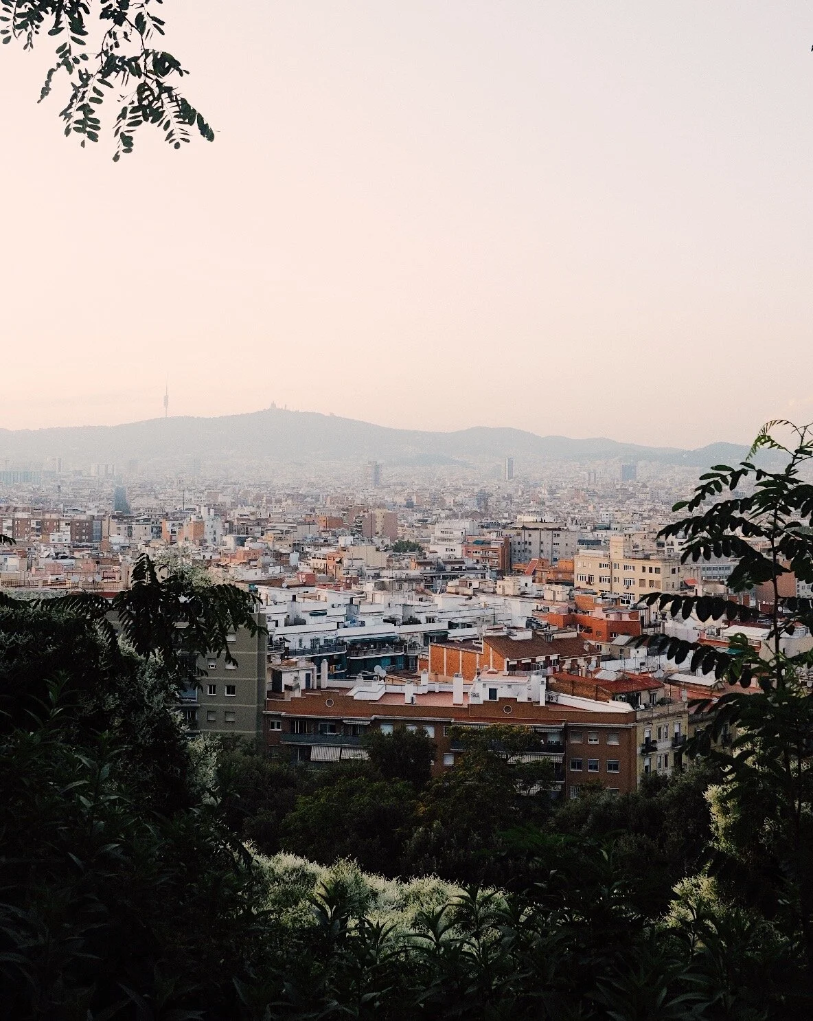  BCN 