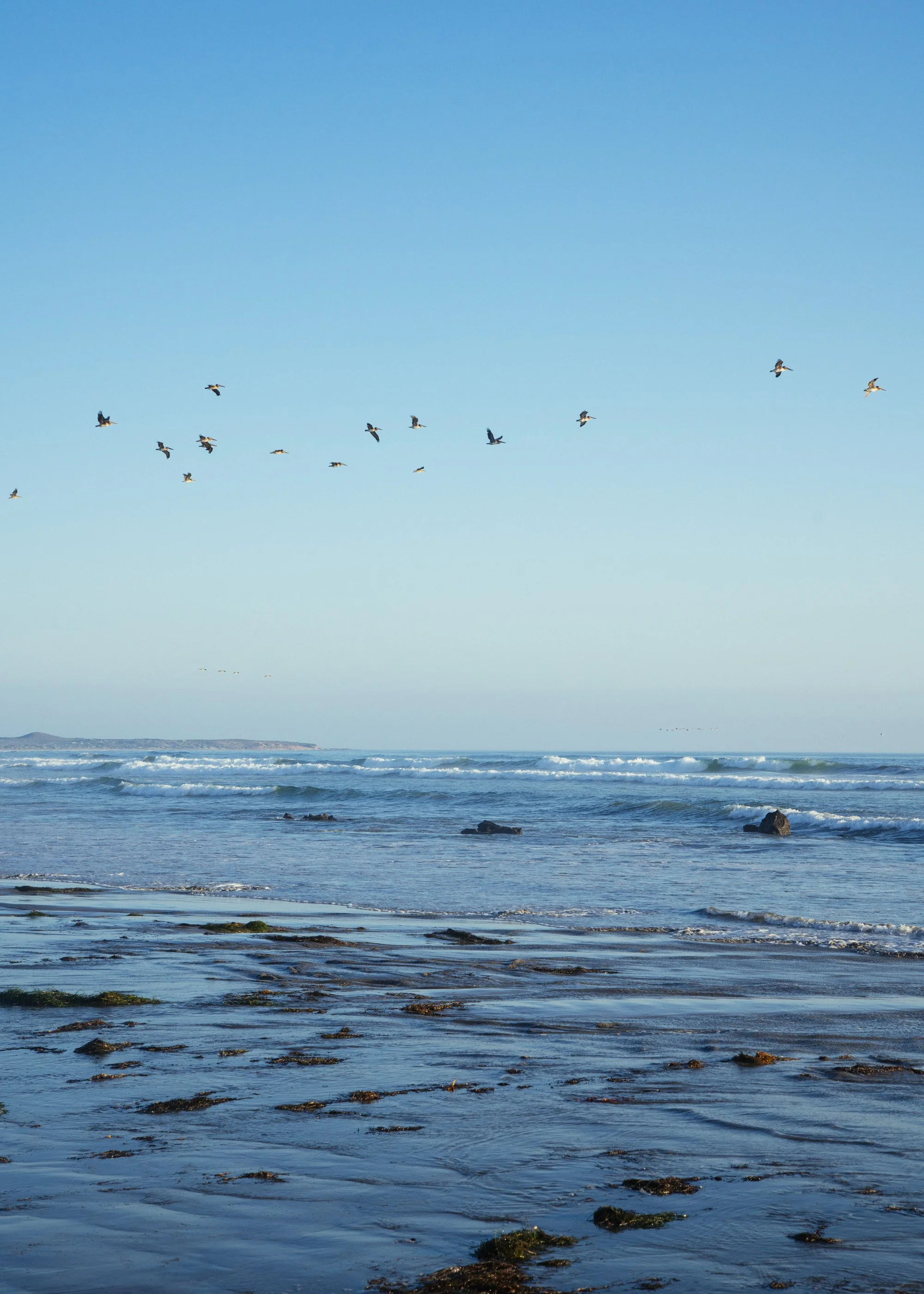 Untitled (San Quintín) (2022)