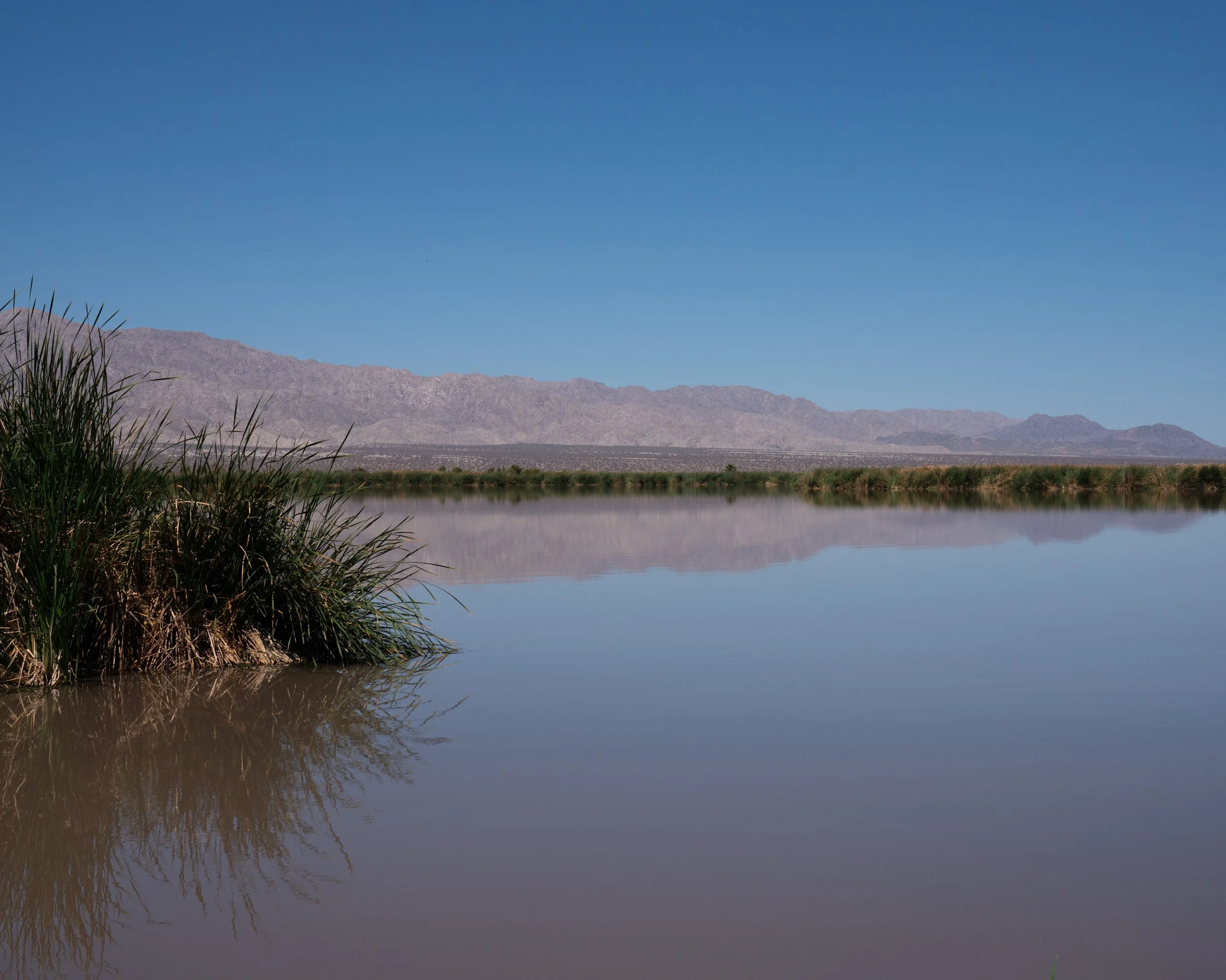 Untitled (Las Arenitas) (2025)