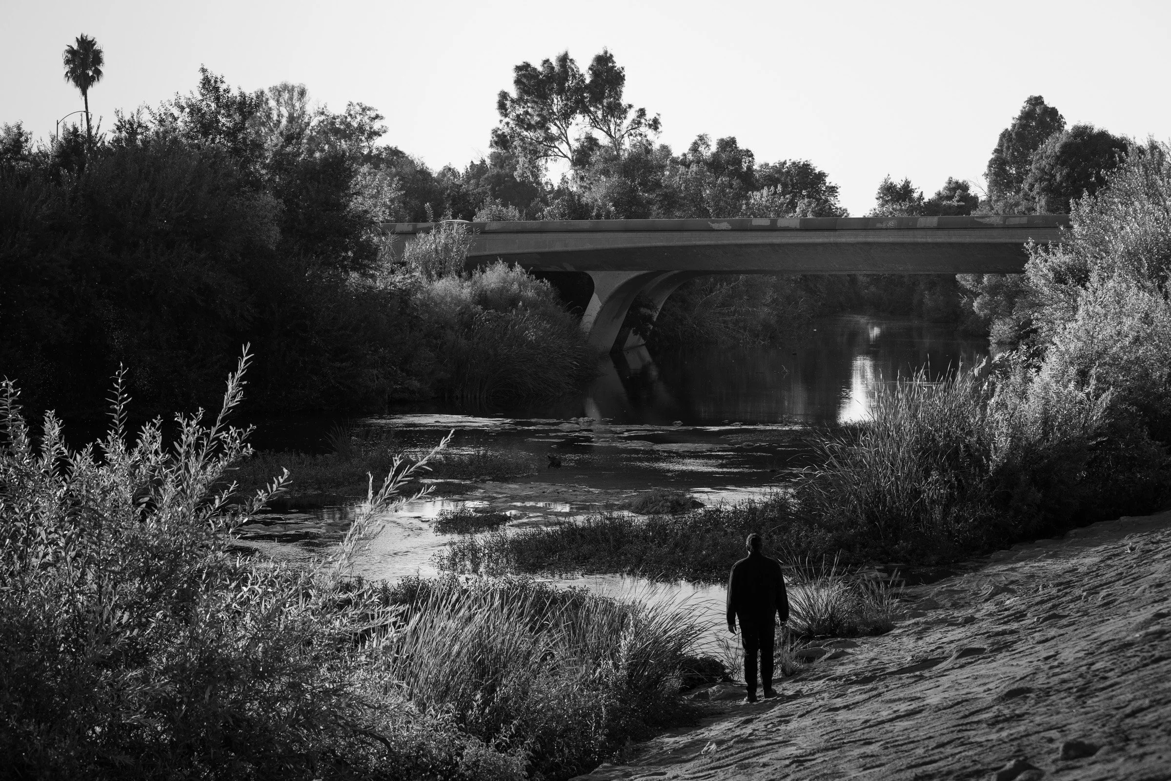 Self Portrait, LA River Wetlands #2 (2025)