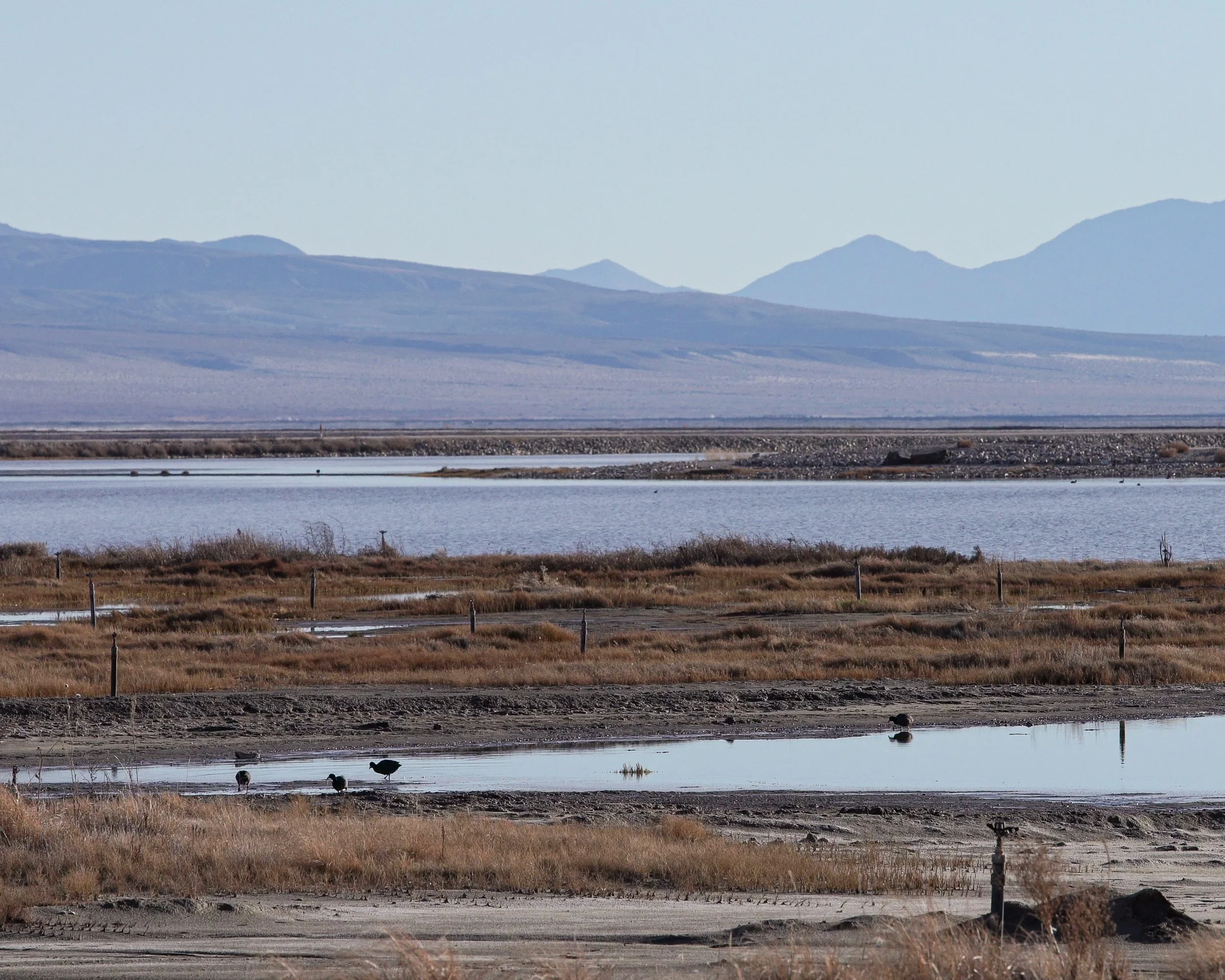 Untitled (Owens Lake)
