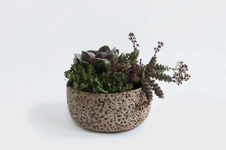 ABOVE: Large Meteor Planter in Natural by ceramicist Pilar Wiley FOUND HERE