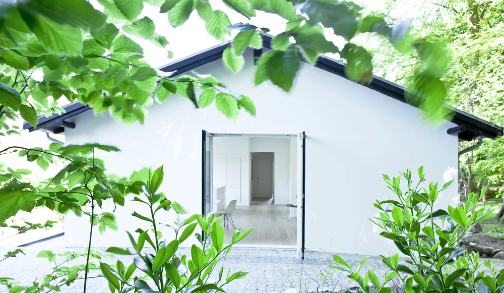 002_FOREST_HOUSE.jpg