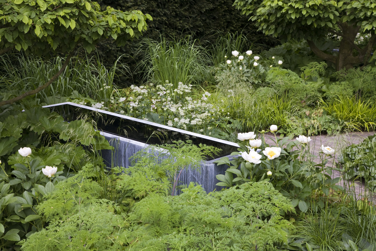 gallery_high_04_Chelsea_2008_AL.jpg