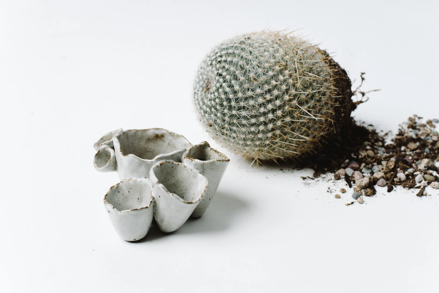 static.squarespace-1.jpg