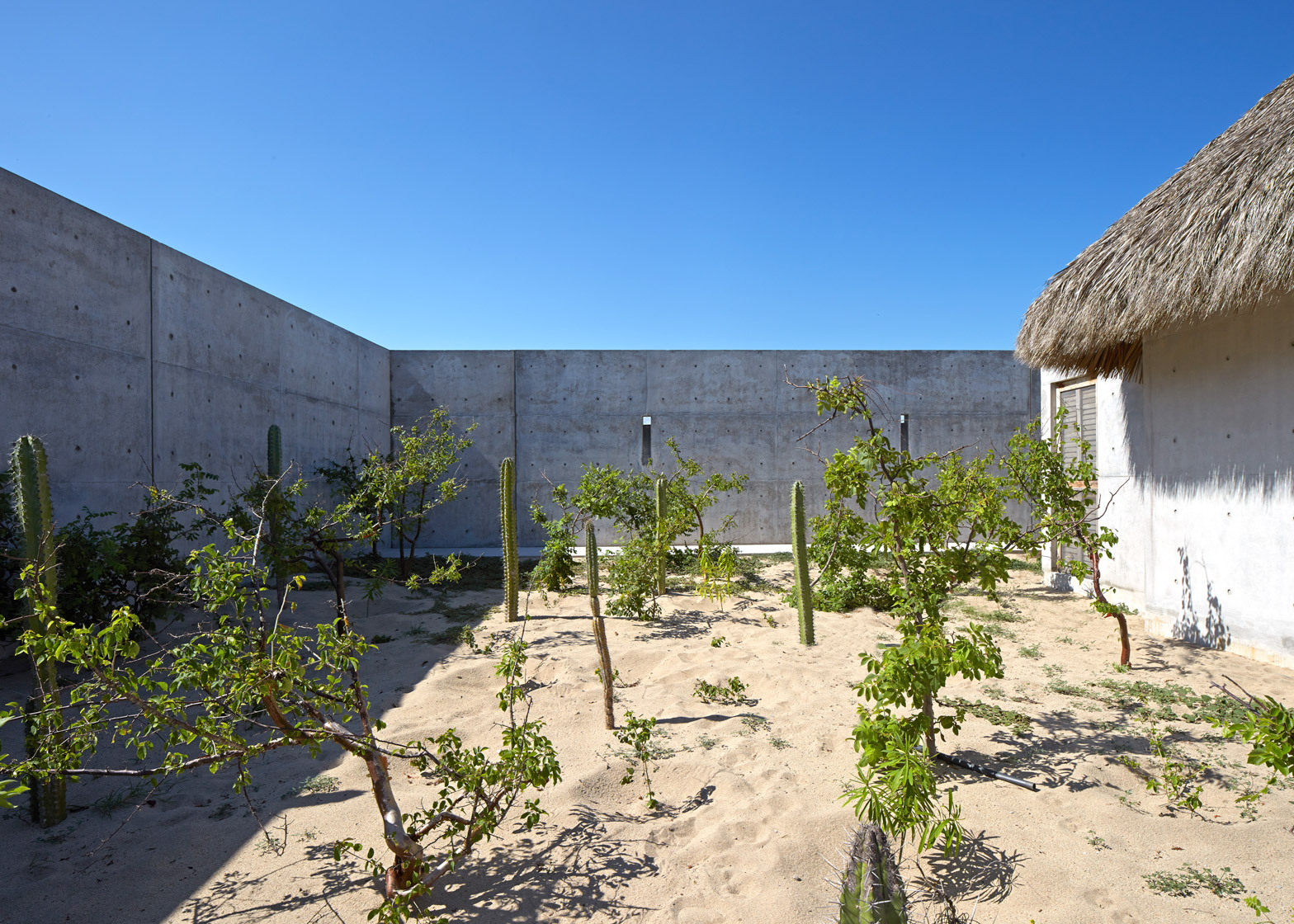 Casa-Wabi_Bosco-Studio-House_Tadao-Ando_Puerto-Escondido_Oaxaca_Mexico_dezeen_1568_1.jpg