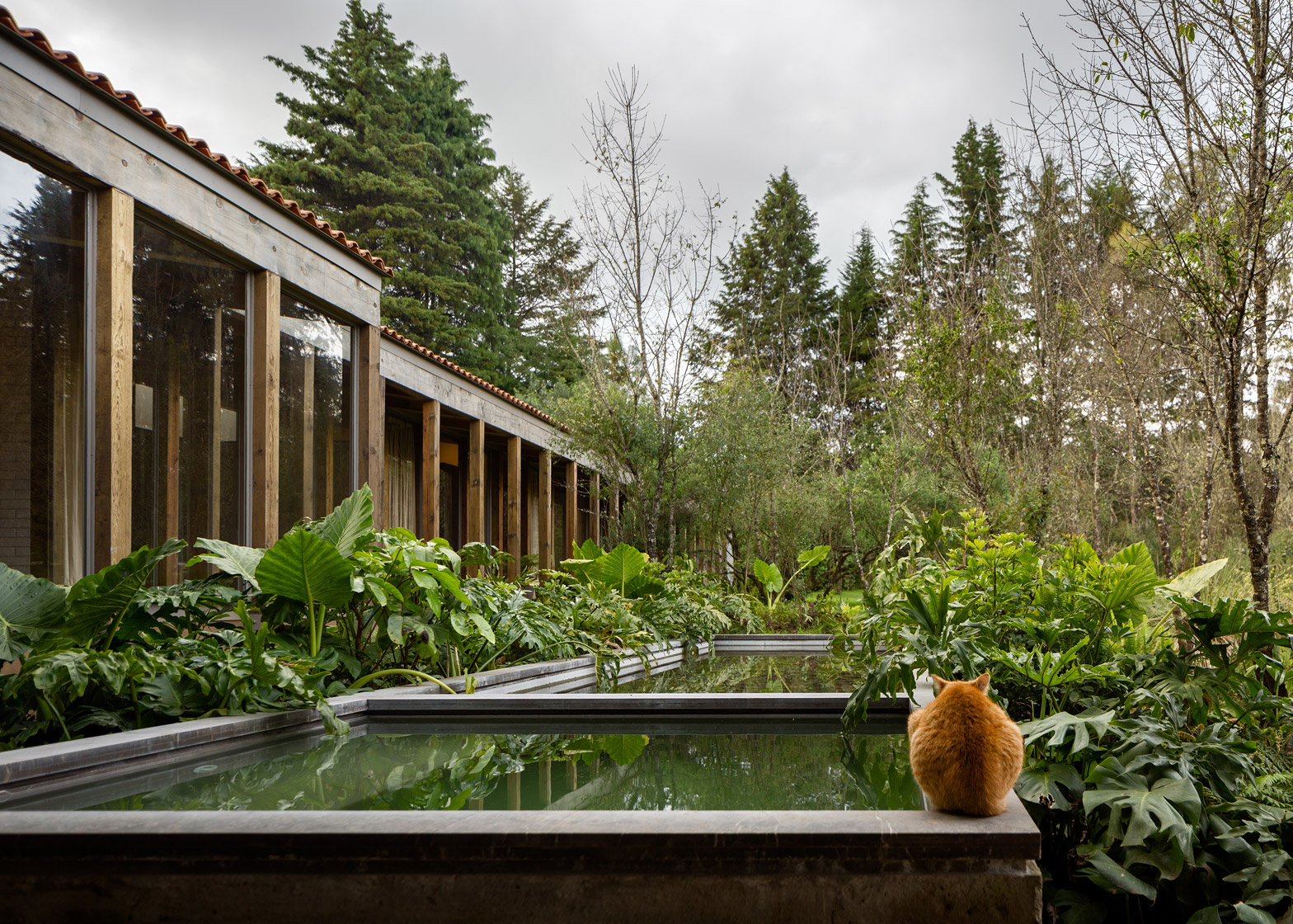 santana-house-cc-arquitectos-valle-de-bravo-mexico-city_dezeen_1568_4.jpg