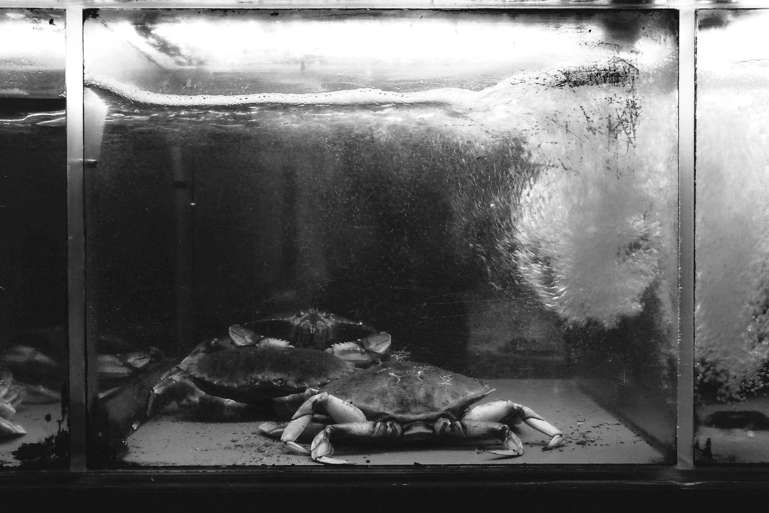 Goddard Riverside BW-8.jpg