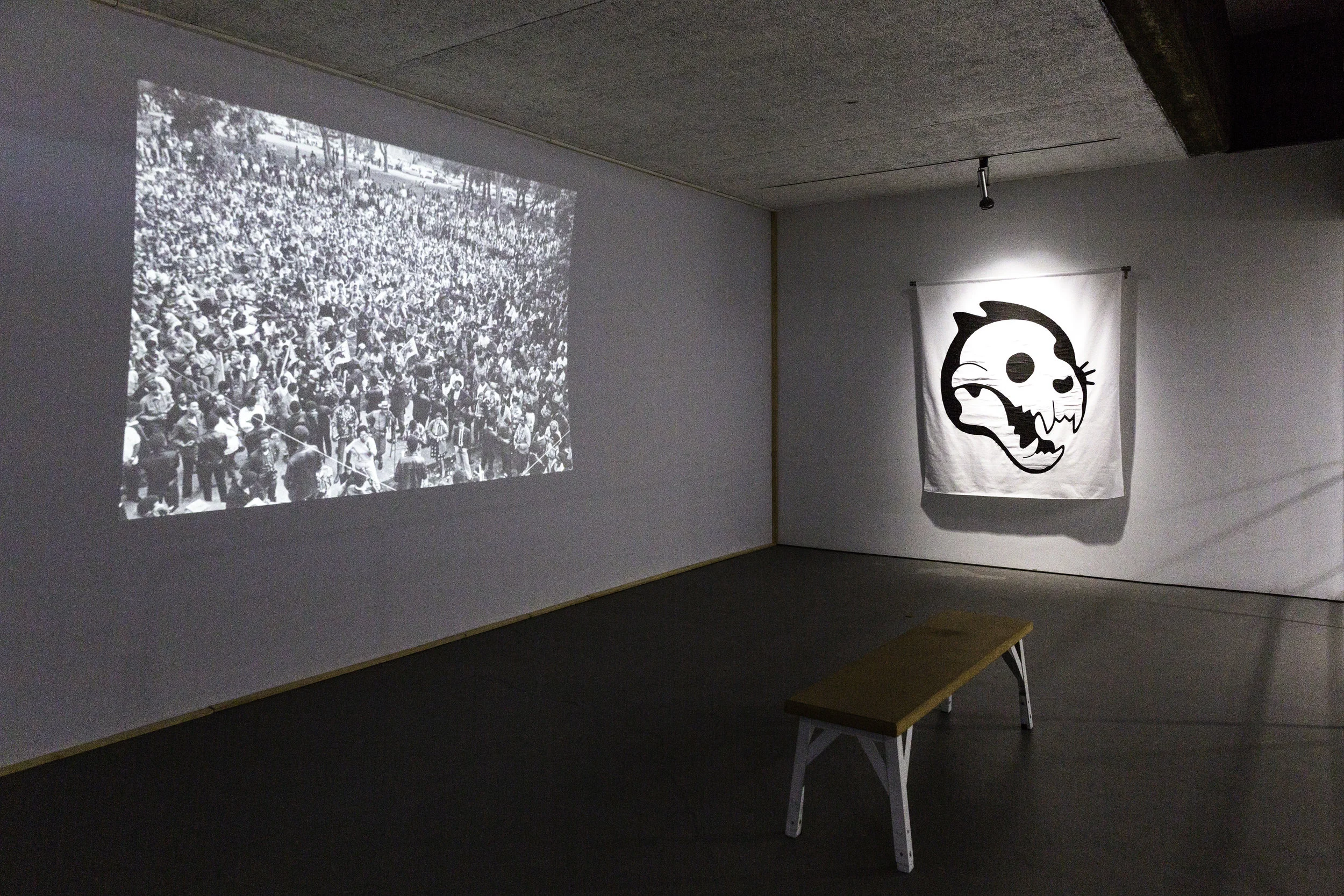 Vanguard Revisited_Installation_Jan2019-7.jpg