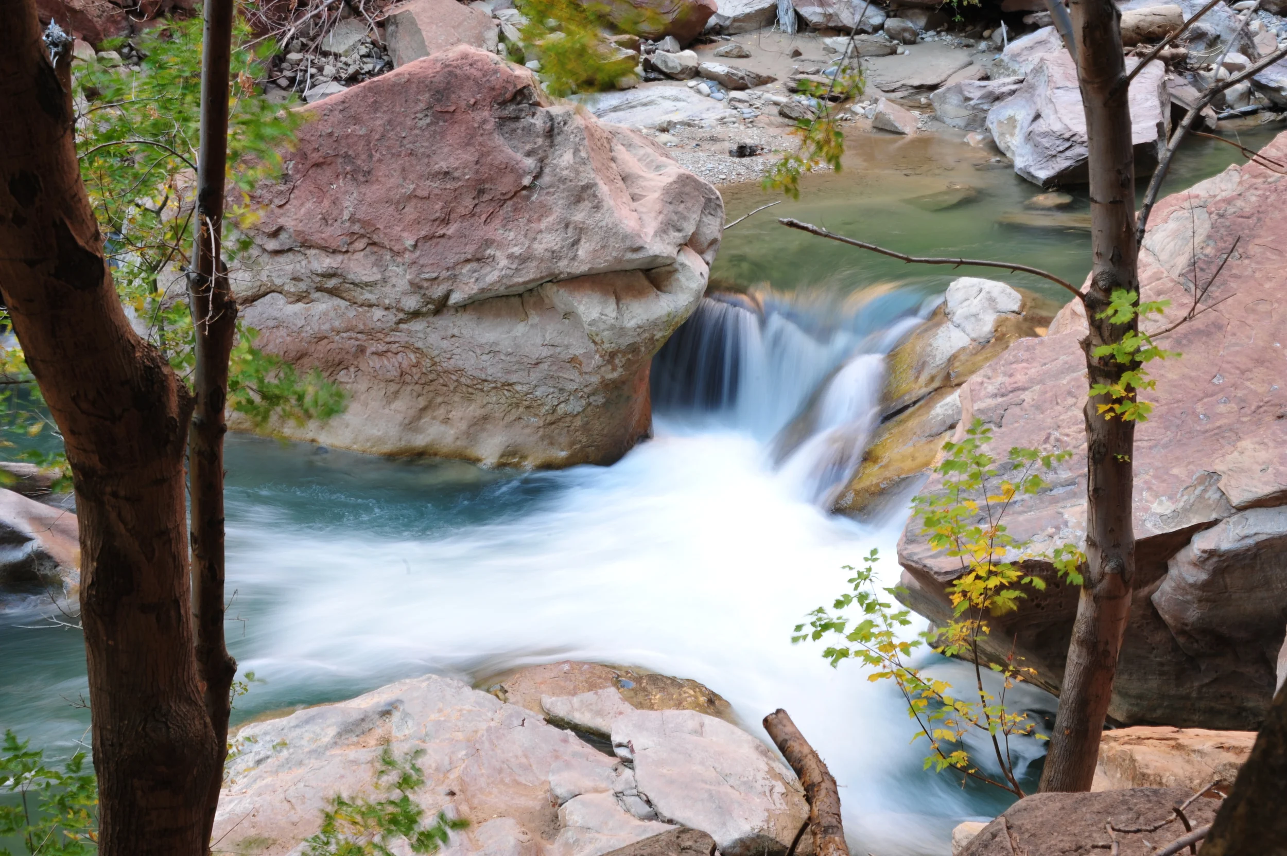DSC_3286.JPG