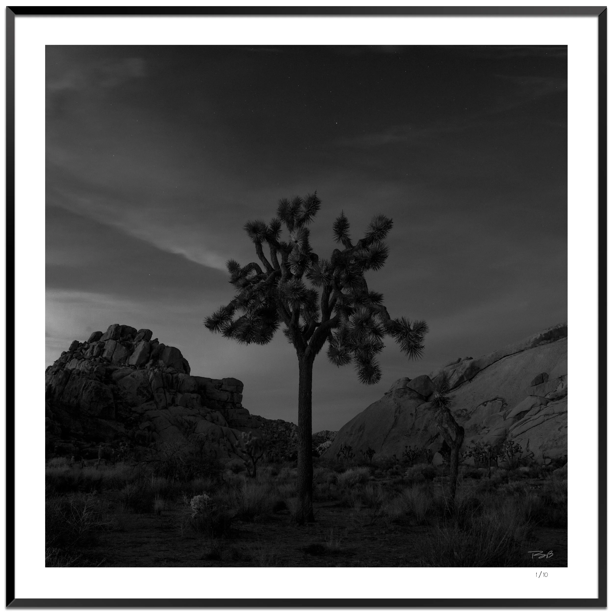 JoshuaTree_frame.jpg