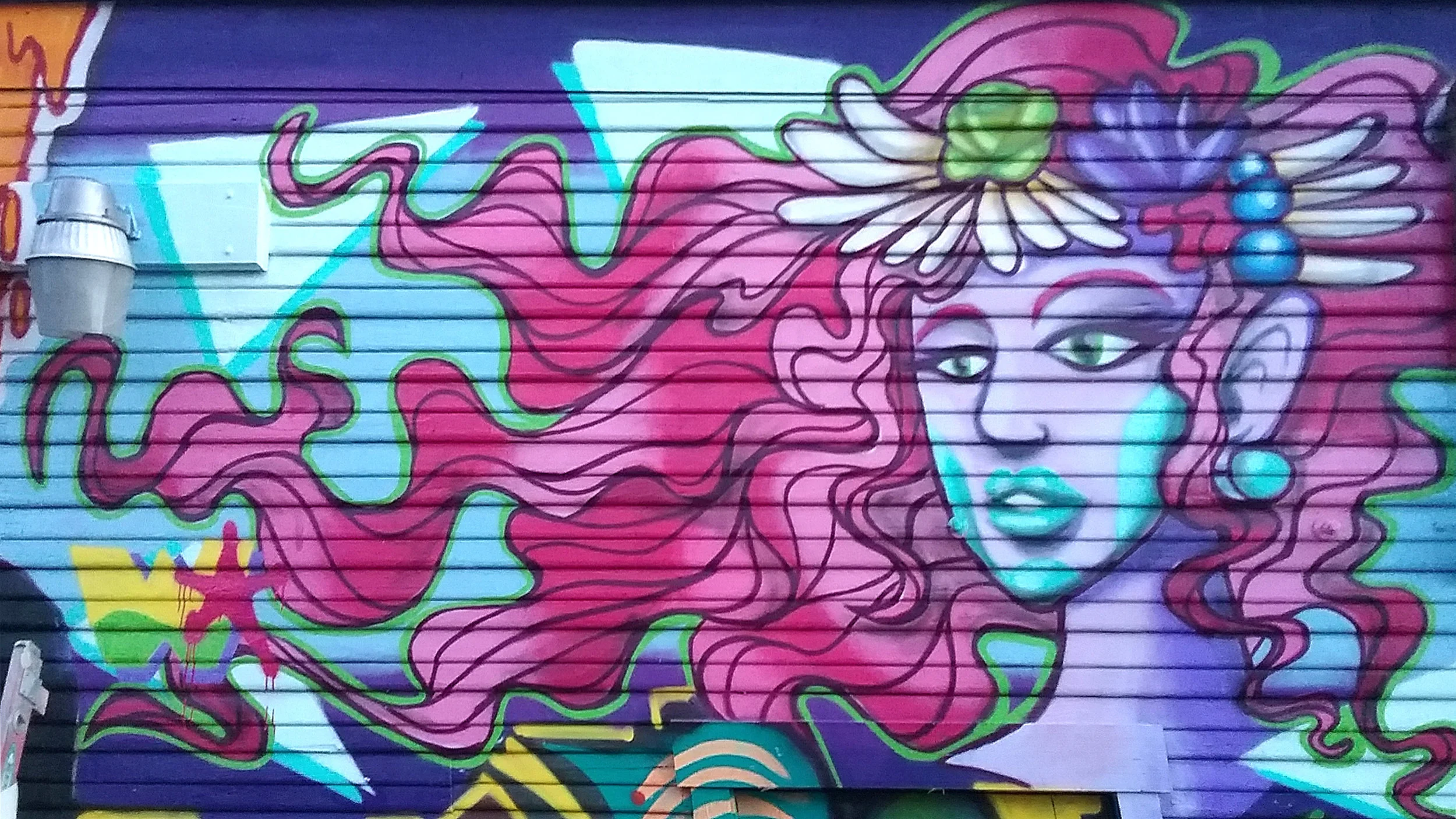 Mermaid Hair - Georgetown Mural (detail)