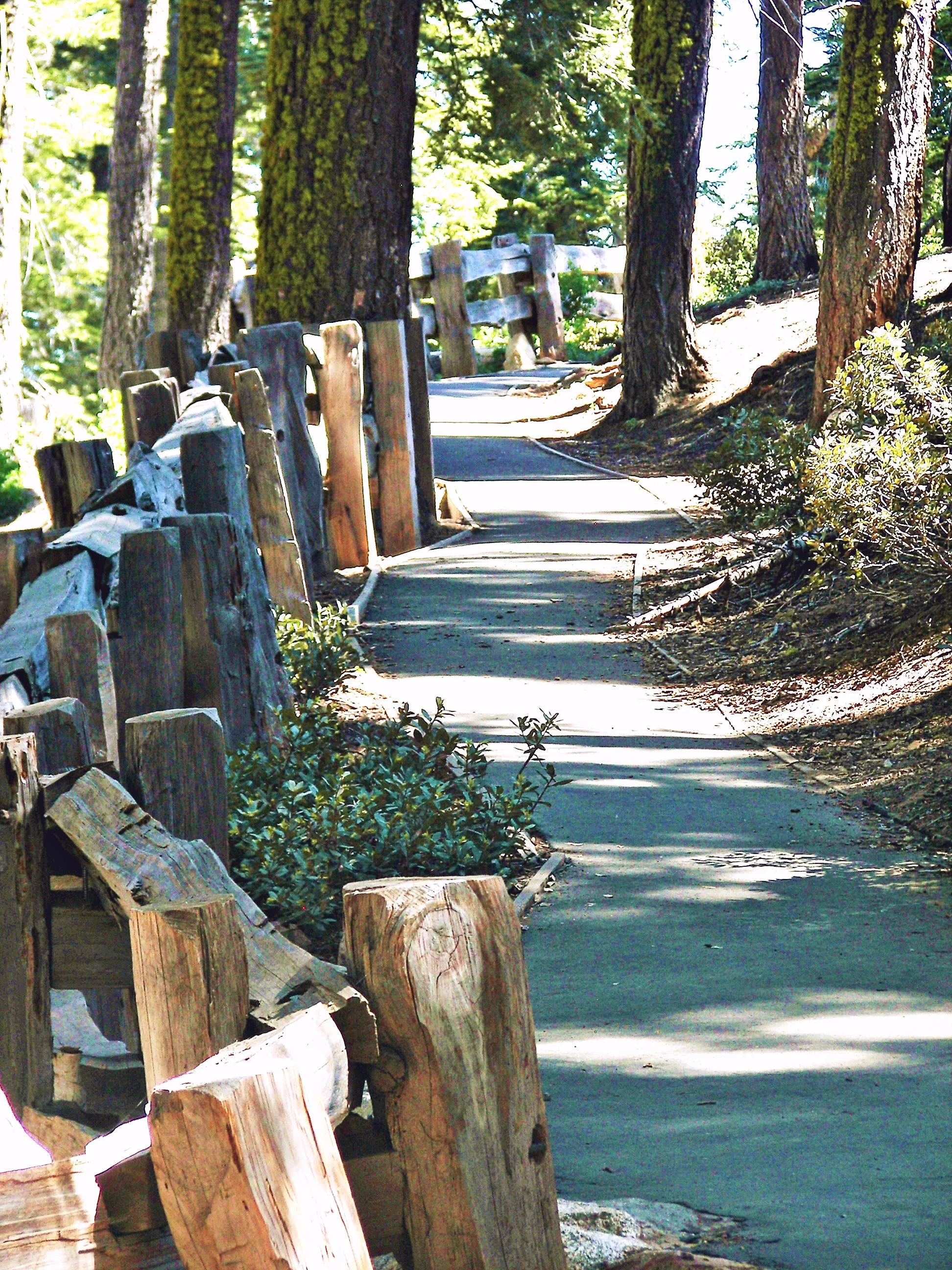 The trail up to Panoramic Point