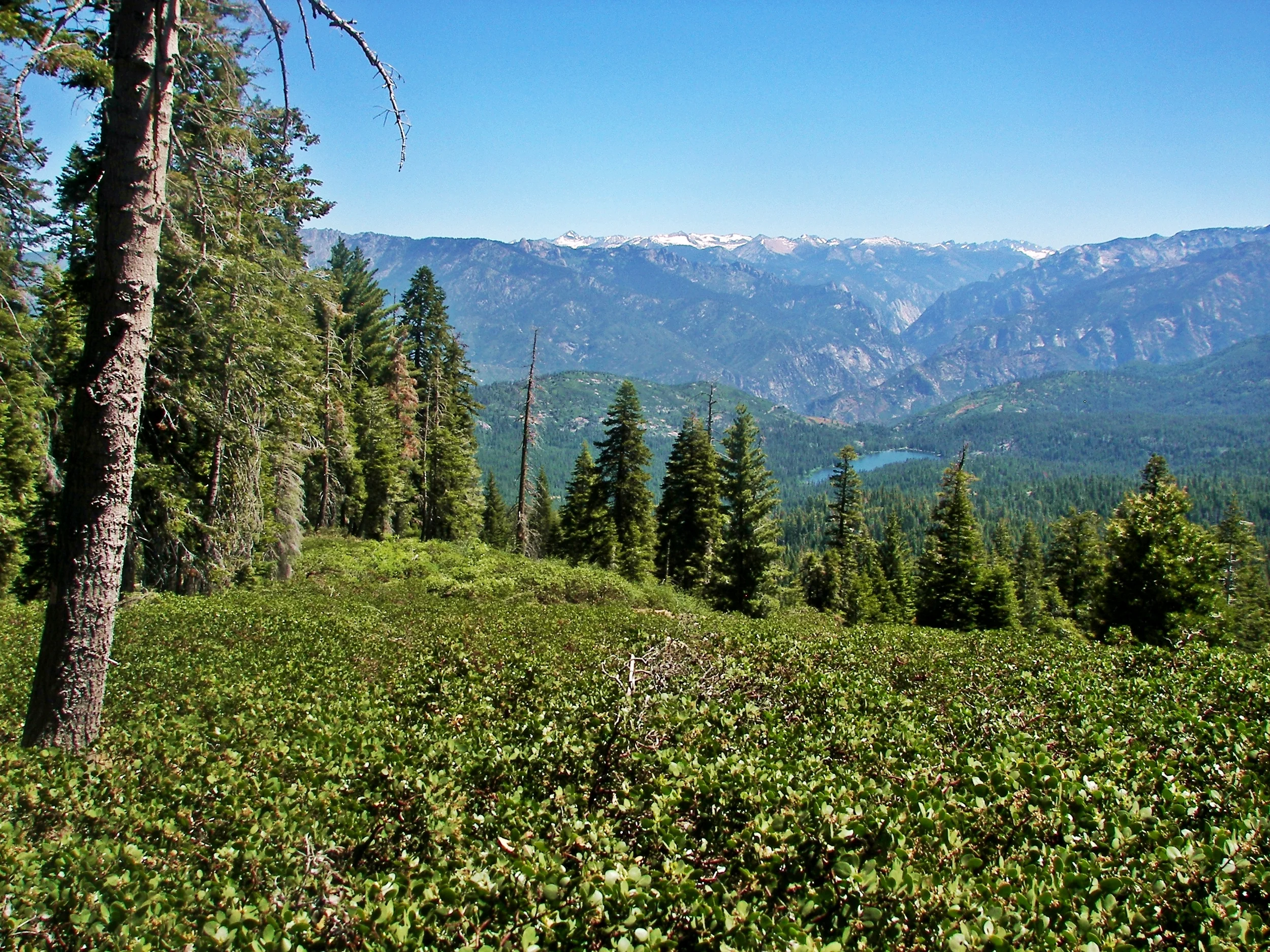 Panoramic Point ( In the distance is Hume Lake)