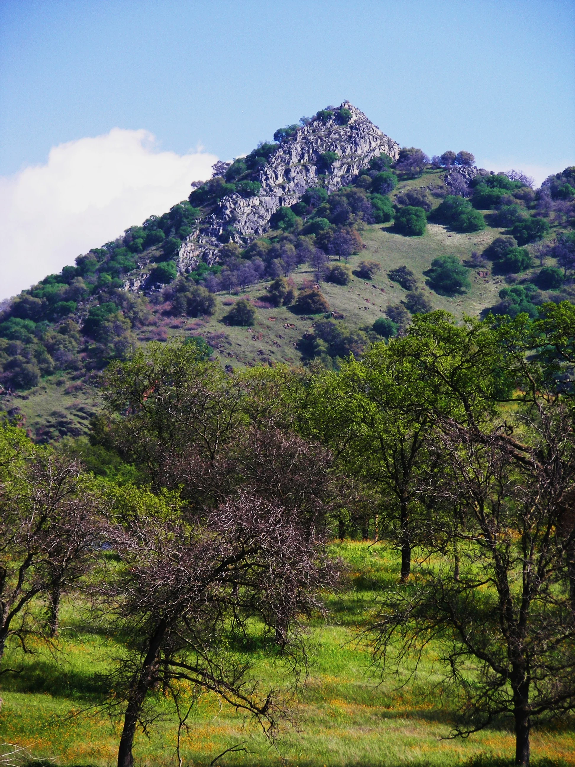 Nice Peak near Three Rivers