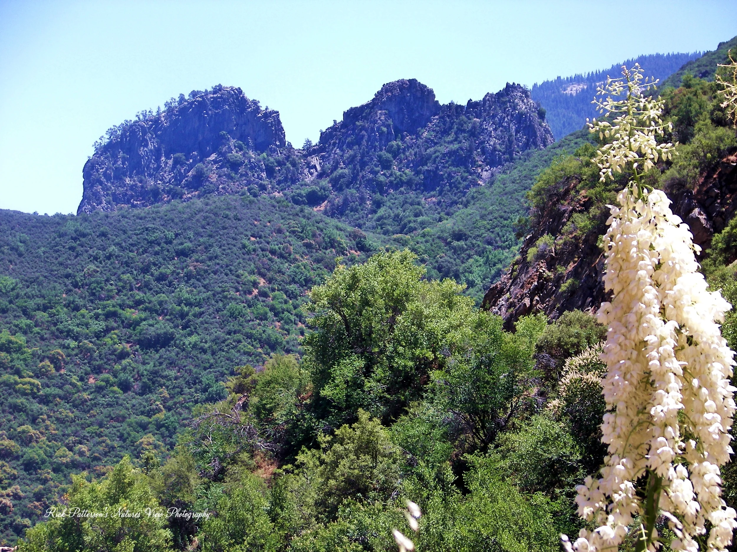 Kings Canyon area