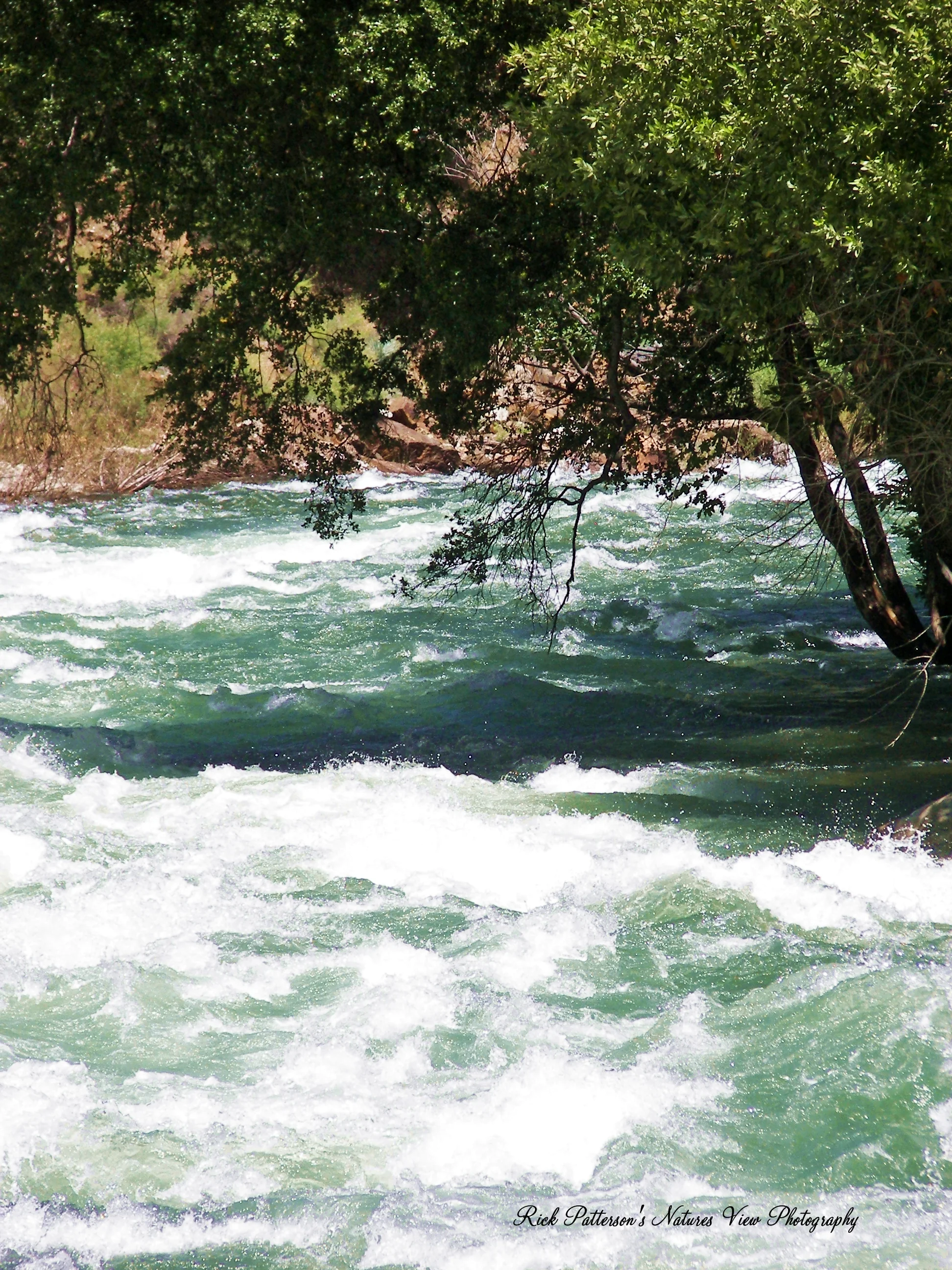 The powerful Kings River